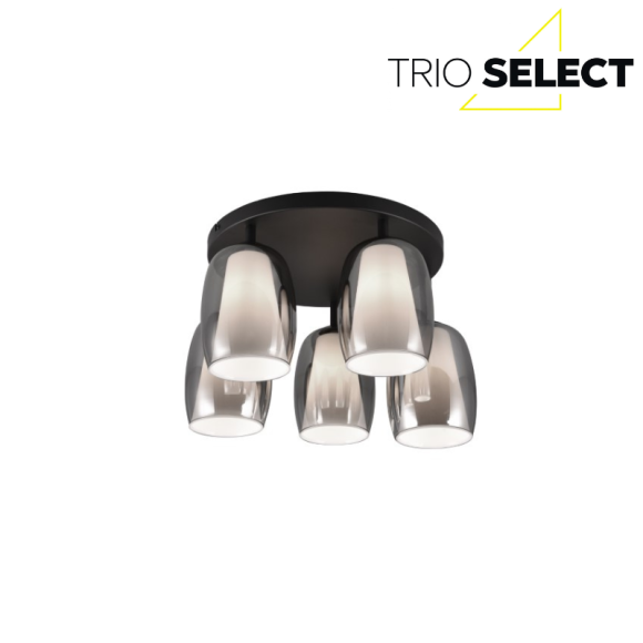 Trio SELECT 617500554  přisazené stropní svítidlo BARRET  E14